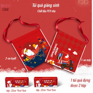 Túi quà tặng giáng sinh 12008