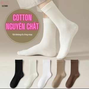 Tất màu trơn thu đông,tất bắp chân cotton mềm mịn thu đông 12380