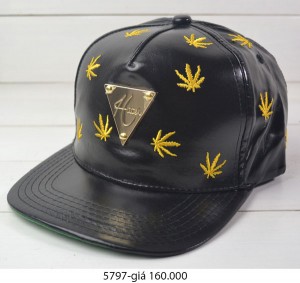 Nón hip-hop HATER Snapbacks 5797