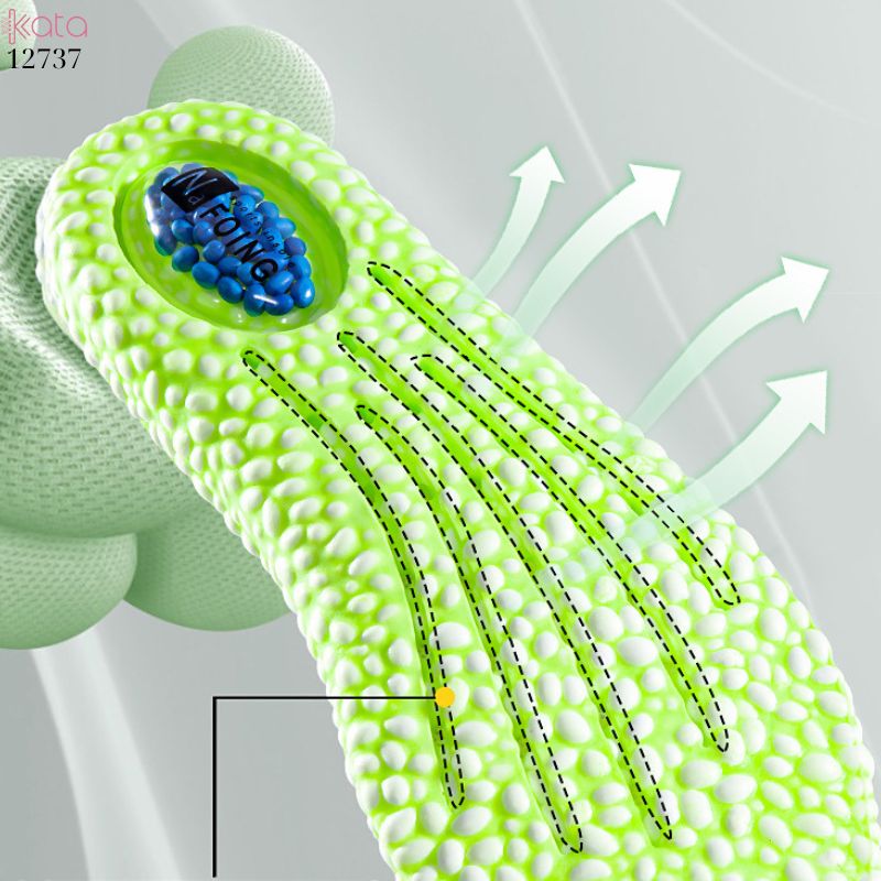 Lót giày tăng chiều cao,đệm khí tăng cường,giảm xóc đàn hồi cao,lót đệm bốt martin Nam Nữ  12738